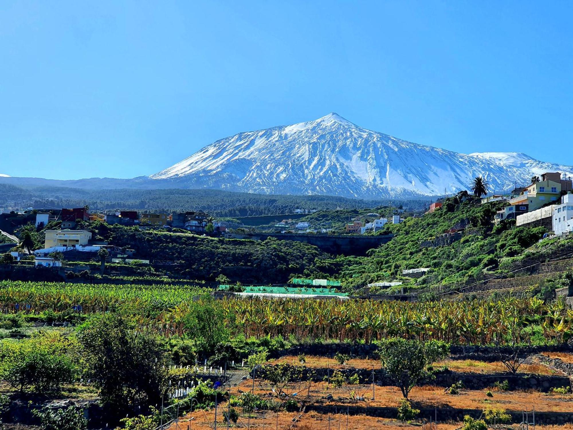 Cozy House Casa De Los Abuelos In Icod De Los Vinos By Hrtenerife Net Екстер'єр фото